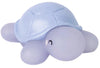 BABY BATH TOYS COLOR CHANGING TURTLE FAMILY