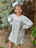 LONG SLEEVE  MOTHER MAY I DRESS- HOLLY